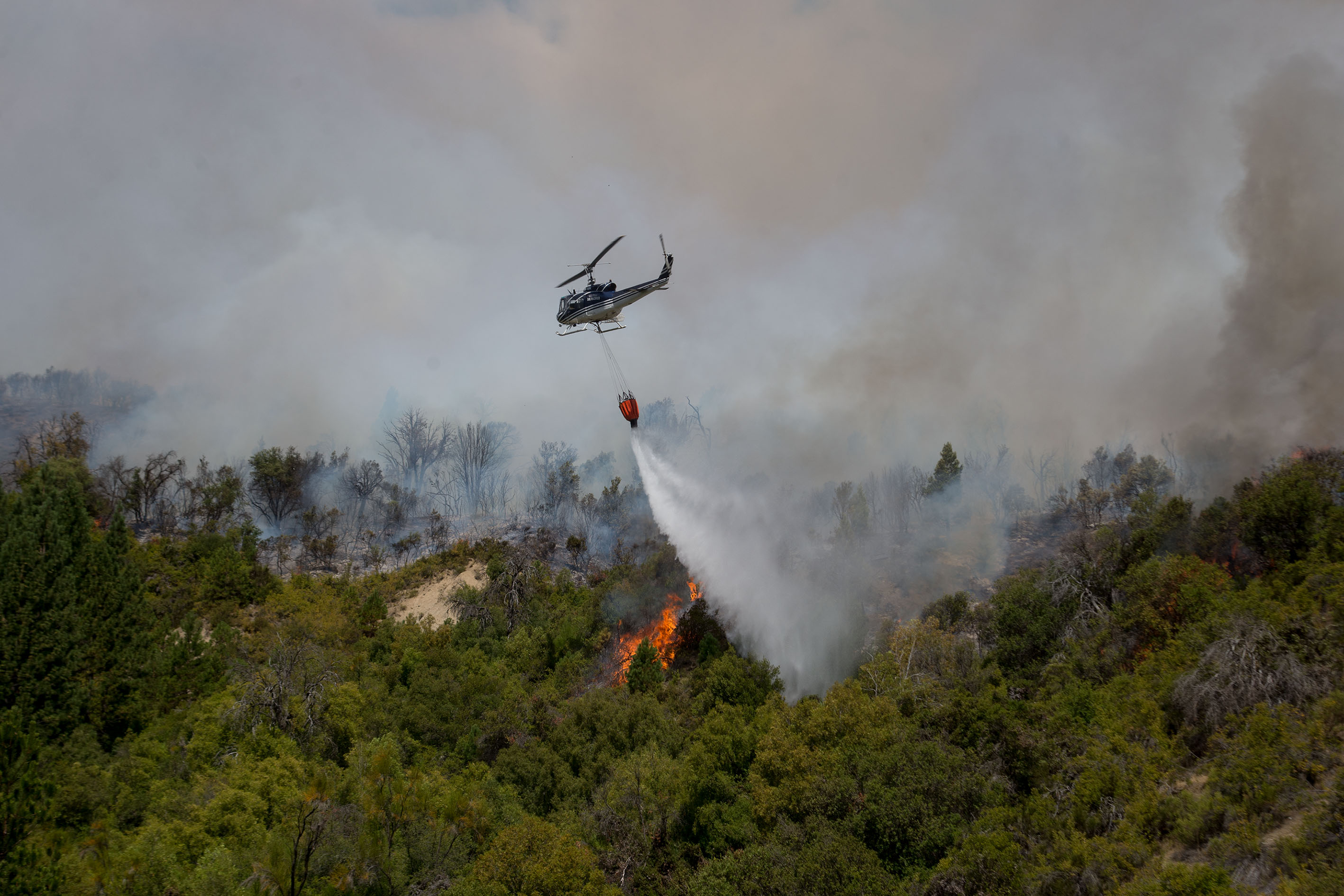 El incendio forestal sigue descontrolado. Foto: archivo