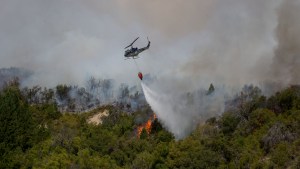 Incendio forestal en El Bolsón: Carreras declara «zona de desastre»
