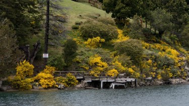 Un joven de 20 años se descompensó en el lago Moreno y murió. Imagen ilustrativa/archivo
