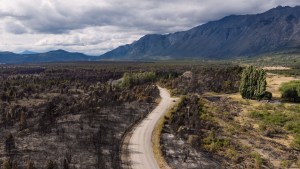 Declaran el estado de desastre agropecuario y forestal en el departamento Bariloche