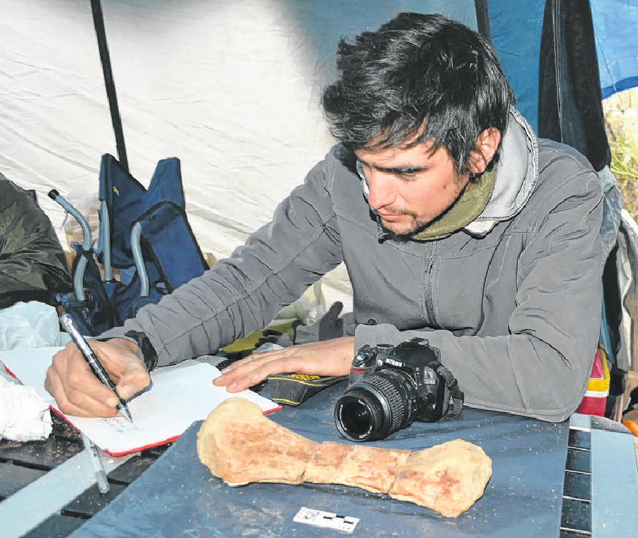 Aranciaga Rolando, examinando y catalogando uno de los restos hallados en el campo al sur de Roca. Queda mucho material para analizar, asegura.  