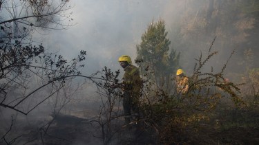 Los incendios forestales son una preocupación en la zona cordillerana y se suman acciones para prevenirlos. Archivo