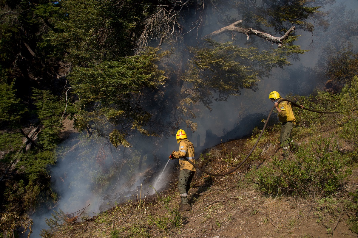 El incendio forestal comenzó el 24 de enero pasado en un lote ubicado en el barrio El Mirador, a unos 12 kilómetros de El Bolsón, y se expandió rápidamente. (foto archivo)