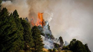Las impactantes imágenes que dejó el incendio en San Martín