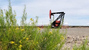 Ley ómnibus: Finalmente las provincias podrán prorrogar las actuales concesiones petroleras