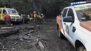 Proponen aumentar las penas para quienes generen incendios forestales