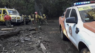El proyecto pone el acento en la protección de los bosques y prevé también incrementos en las multas económicas.