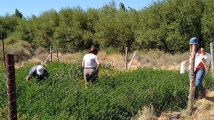 Más hectáreas con agua reutilizable en Jacobacci