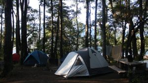 Solo queda un camping con lugar en el parque Lanín para pasar Año Nuevo