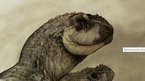 Descubren un «pequeño» pero letal dinosaurio que cazaba hace 70 millones de años cerca de Roca