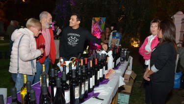 La degustación de vinos de la región es parte fundamental del festejo Vendimia. (Foto archivo)