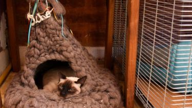 ¡Que fiaca arrancar marzo otra vez! Foto: Florencia Salto. Acordate de mandar la tuya!