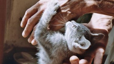 Foto: Florencia Salto.-