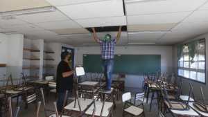 Murciélagos en un colegio céntrico de Roca: suspenden actividades