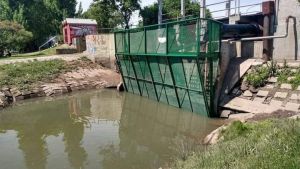 Licitarán otro canasto para evitar que la basura llegue al río Negro en Viedma