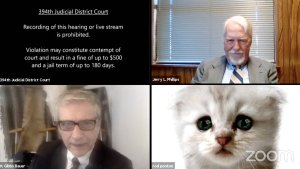 «No soy un gato»: abogado se volvió viral por no poder quitar un filtro en Zoom