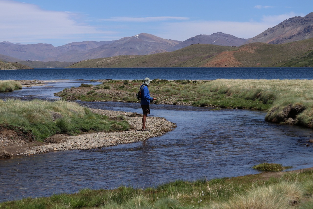 Guillermo pesca en el río Benitez, metros antes de la desembocadura en la laguna Varvarco Campos. Foto: Alejandro Forrester. 