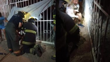 Los bomberos de Centenario durante el rescate del perro. (Gentileza Centenario Digital).-