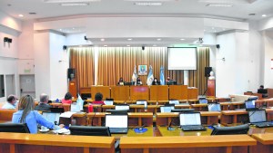 Los redactores de la Carta Orgánica de Neuquén opinan sobre la enmienda de Gaido