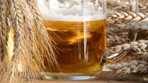 INTA y Cervecería Quilmes impulsan la producción de cebada agroecológica