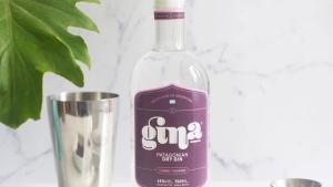 Premio internacional para «Gina», el primer gin fabricado en Neuquén