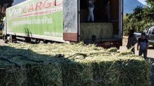 Asisten con pasturas a los productores afectados por el fuego