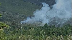 Combaten otro incendio forestal en la cordillera, el foco está en Lago Hermoso