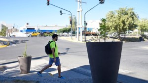 Gaido gastó casi cuatro millones de pesos en macetas