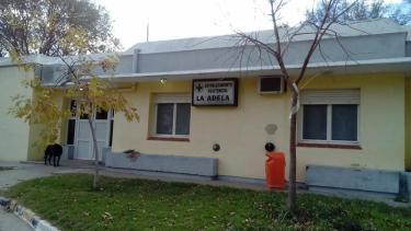 Un certificado supuestamente apócrifo y un sumario habrían detonado el escándalo.-