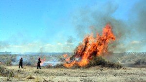 Unas 30 hectáreas fueron afectadas por el fuego en el Parque Industrial de Viedma