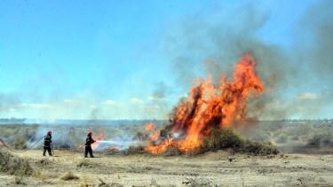 El incendio provocó temor por emprendimientos en el Parque Industrial. Foto: Marcelo Ochoa