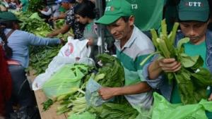 Así luchan en Río Colorado por el acceso a la tierra para producir alimentos sanos
