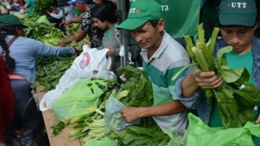 Así luchan en Río Colorado por el acceso a la tierra para producir alimentos sanos