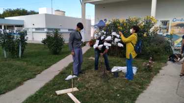 Un jazmín fue plantado en el acceso al Galpón Amarillo en el hospital Zatti. Foto: diario Río Negro.