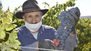 Pueblo Encantado, el vino artesanal de Taquimilán