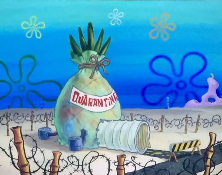 El episodio pertenece a la 12da y última temporada, titulado “Kwarantined Krab".-