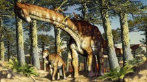 Imagen de Descubren en Neuquén al titanosaurio de mayor antigüedad