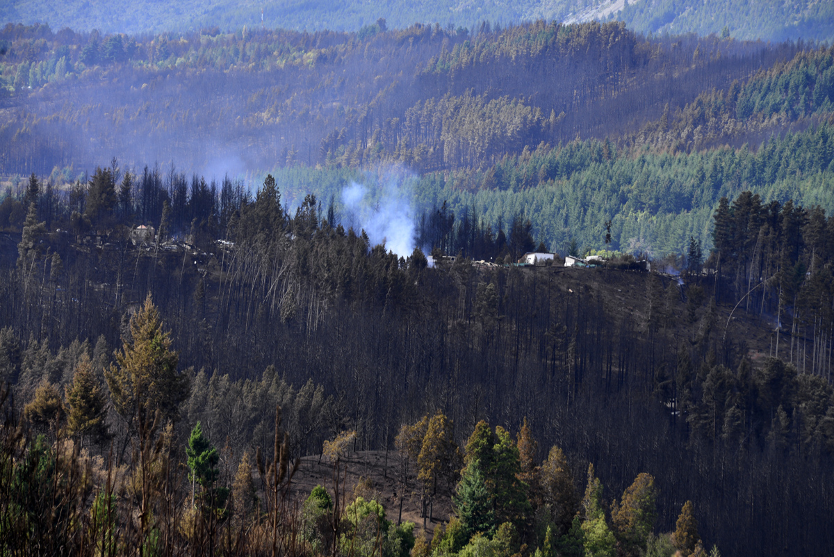 En el verano se registraron incendios forestales y de infraestructura en El Bolsón, Lago Puelo y El Hoyo. Archivo