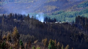 En Río Negro preparan equipamiento ante posibles incendios forestales y esperan sumar más recursos
