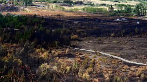 Buscan que Río Negro prohíba por 60 años el cambio de uso de tierras incendiadas