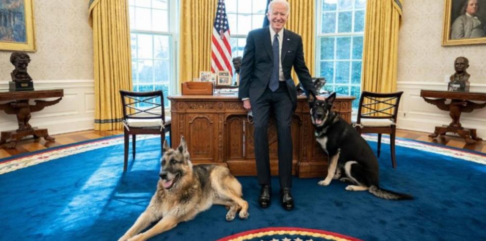 Un perro de Biden mordió a una persona. 