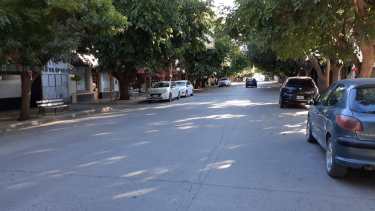 Recuerdan la vigencia de ordenanza sobre el arbolado urbano en Regina