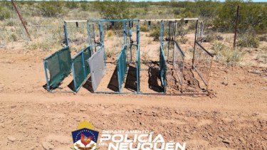 Una de las perras, "Pampita", falleció la noche después de la carrera. (Gentileza Policía de Neuquén)