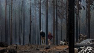Salud enviará vacunas contra la Covid para damnificados en los incendios de la comarca andina