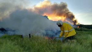 Un incendio arrasó varias hectáreas de pastizales y árboles en cercanías de Sierra Colorada