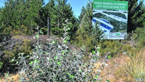 En mayo, Casino Club iniciará el aporte para la Terminal de Ómnibus de Bariloche