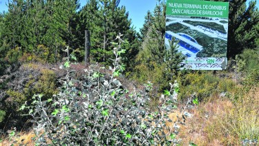 La Provincia prevé cercar enseguida el predio, con 18 millones del concesionario de los casinos. Foto: Alfredo Leiva.