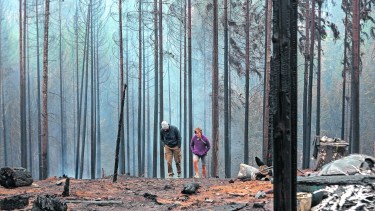 El fuego arrasó con 13.000 hectáreas entre todos los poblados de la Comarca Andina. Foto: Marcelo Martinez
