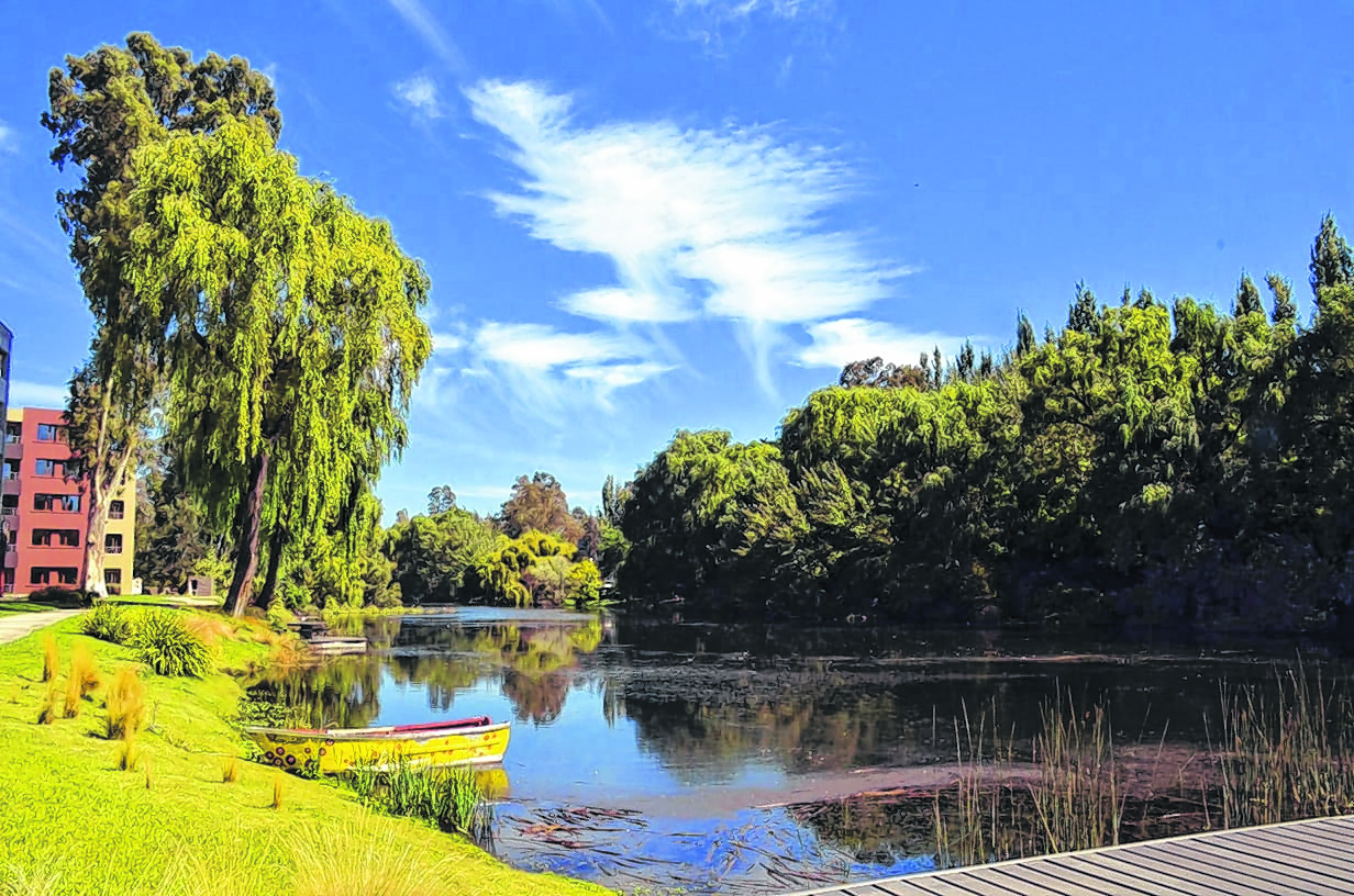 Plottier atiende el presente e imagina un futuro mejor - Diario Río Negro