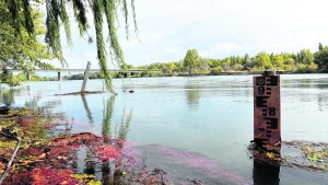Los ríos bajos ponen en riesgo las tomas de agua en las ciudades